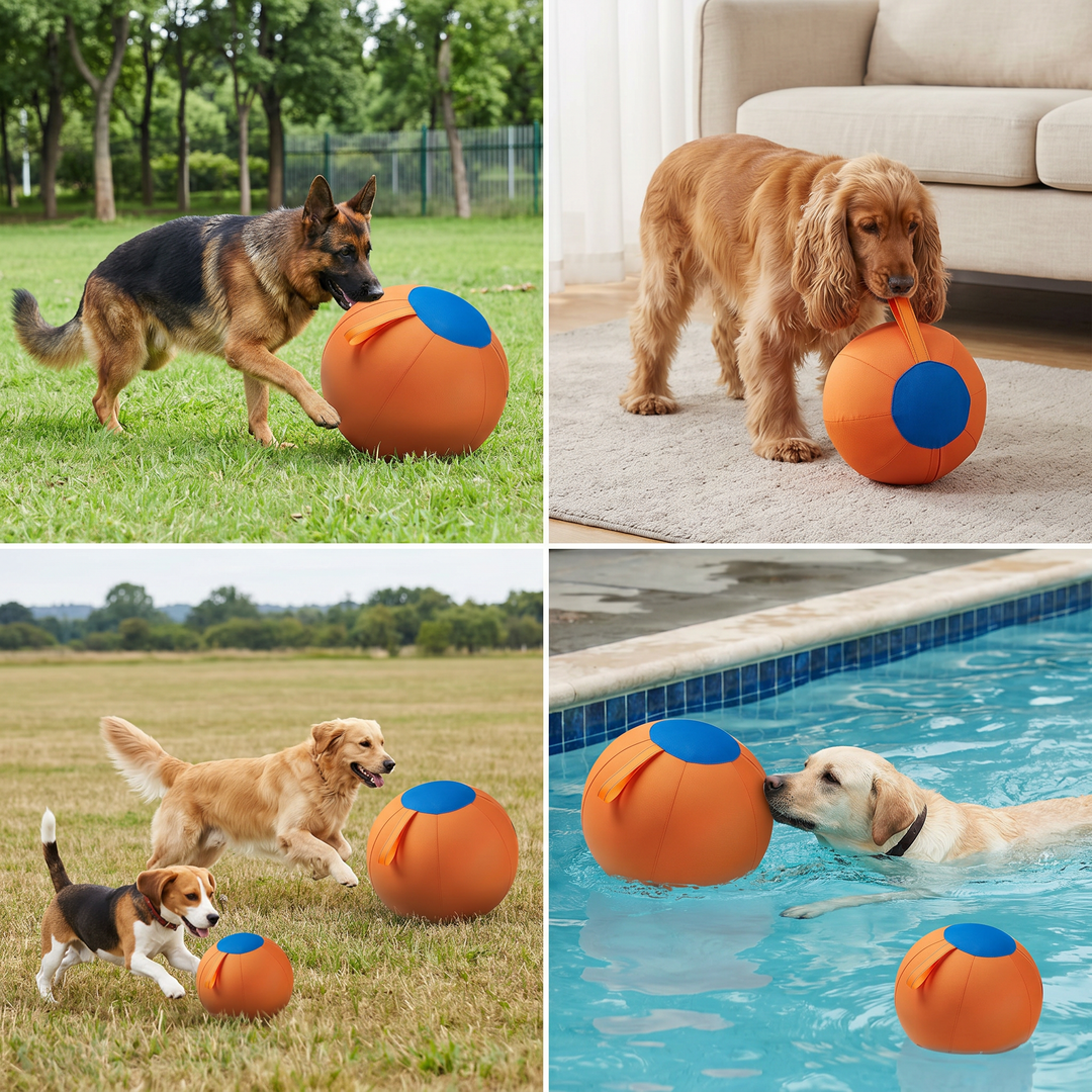 Duurzame trainingsbal met hoes voor honden