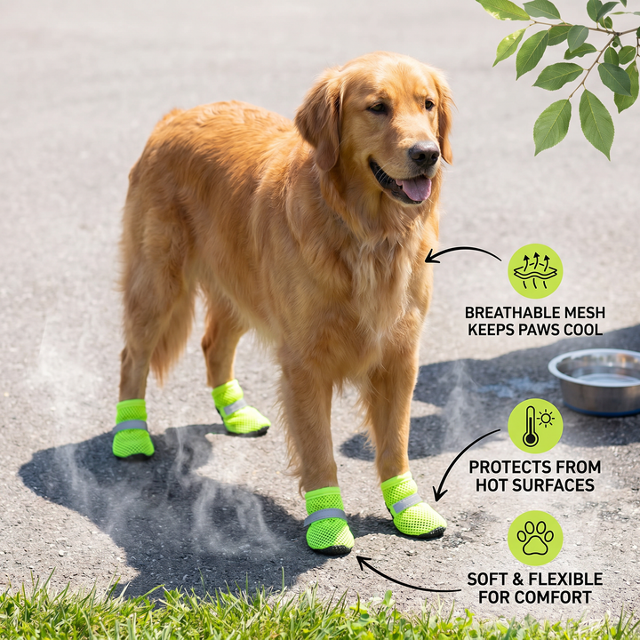 Ademende Honden Schoenen voor Warme Dagen – Zachte Zool voor Kleine en Grote Honden