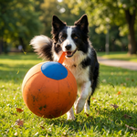 Oranje