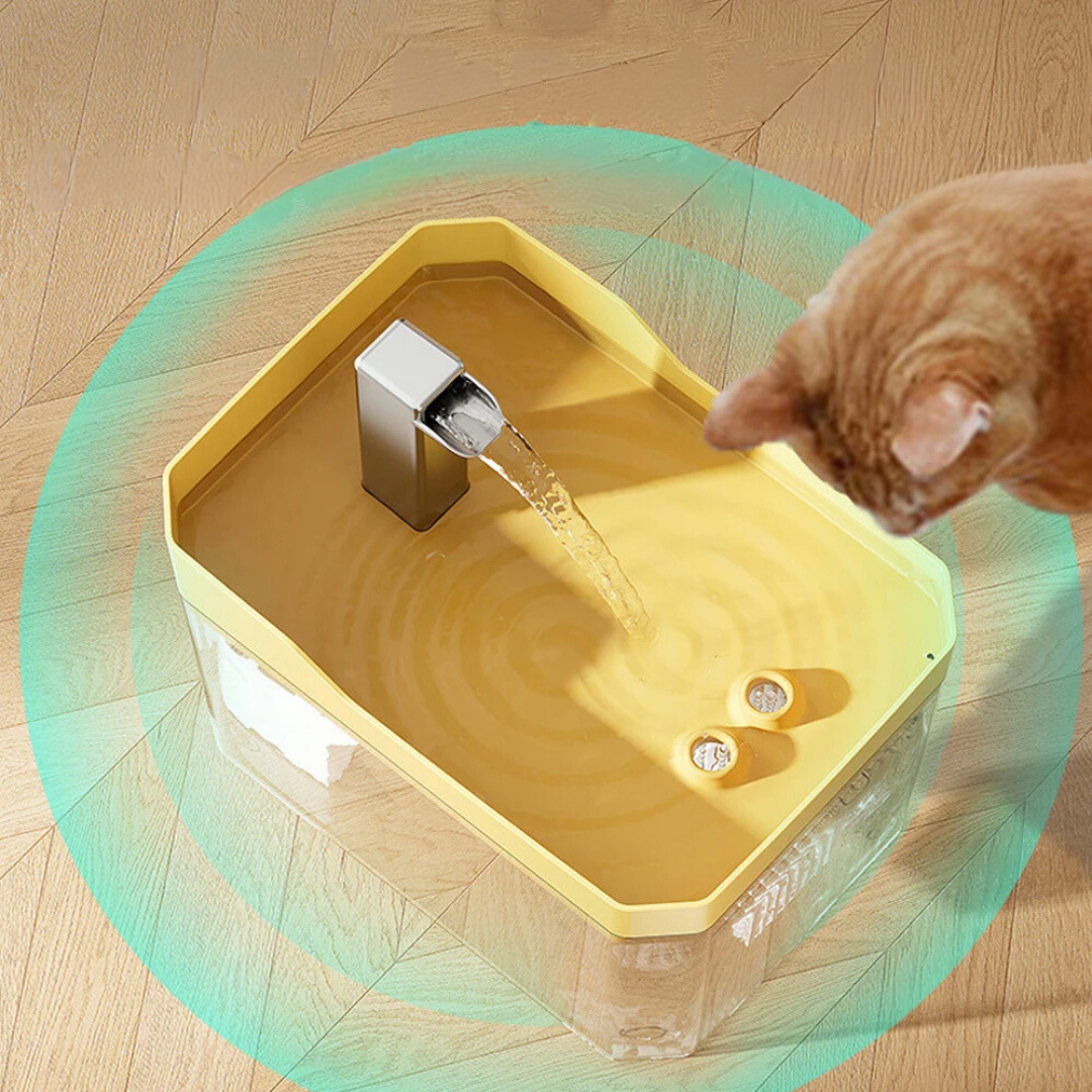 Huisdieren Waterdispenser voor Schoon en Vers Water