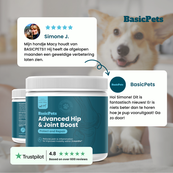 JointBoost ™ - Advanced Hip & Joint Boost