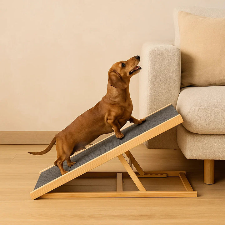 Verstelbare Loopplank Voor Honden Van Hout Antislip Oppervlak & Compact Op Te Bergen