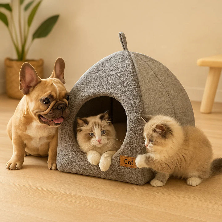 Katten Grot Huis | Binnen