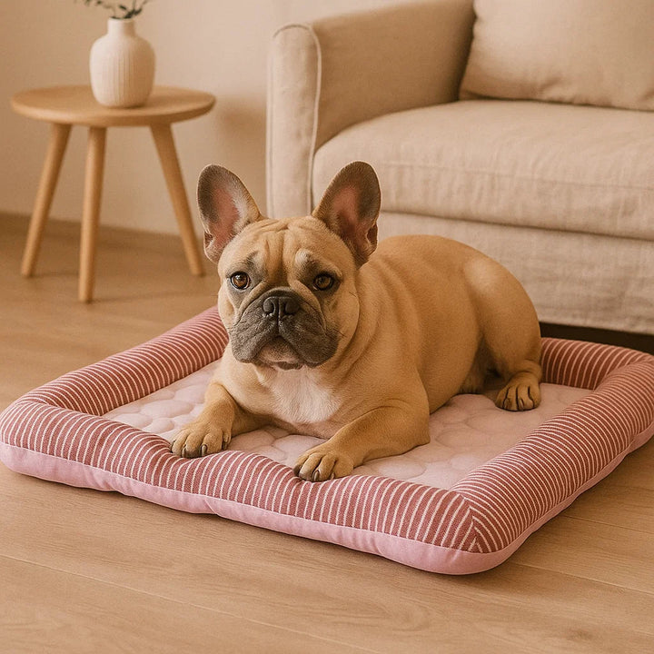 Hondenkoelbed | Voor Grote Honden