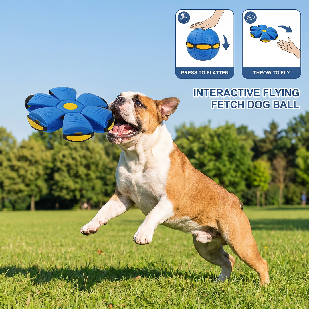 Interactieve Vliegende Fetch Hondenspeelbal