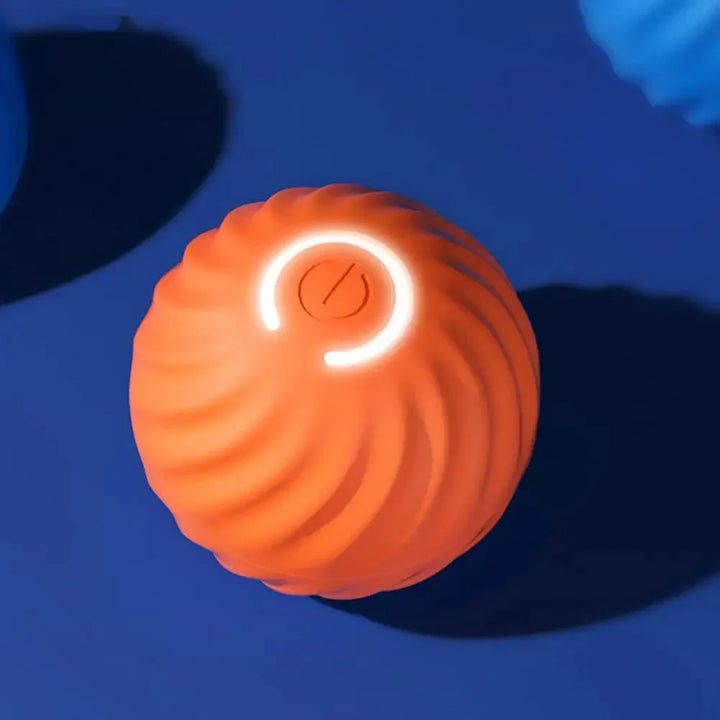 Automatisch Interactief Hondenspeelgoed – RolliPlay