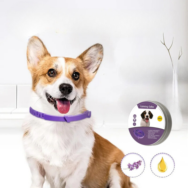 Pheromone Kalmerende Halsband voor Honden en Katten