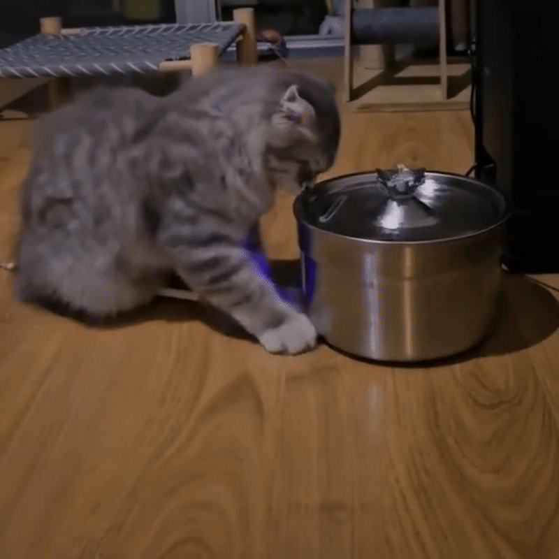 Automatische Katten Drinkfontein Stille Rvs Kattenfontein 2L