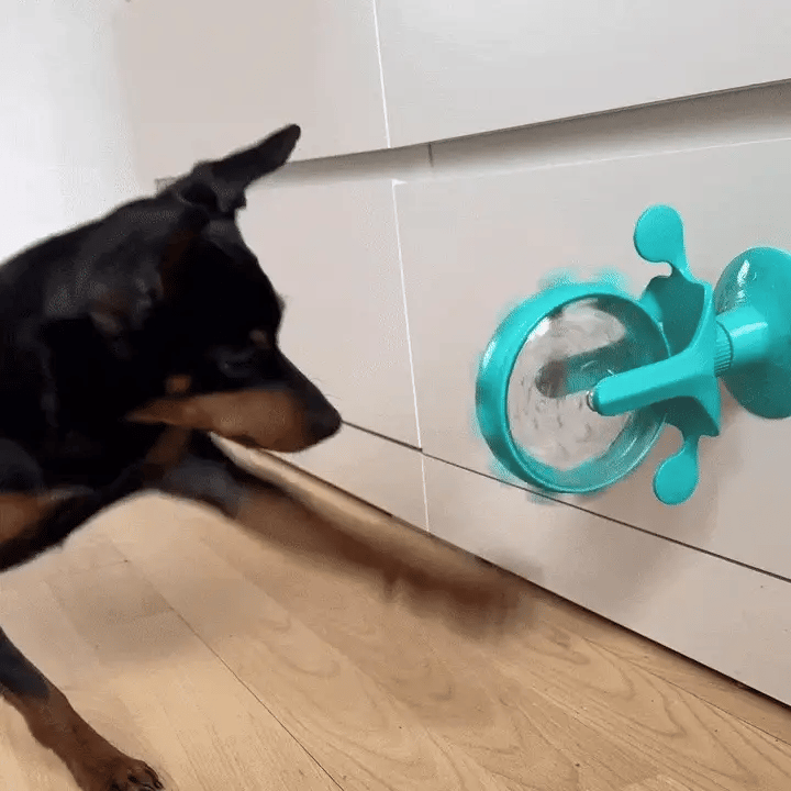 LallyPet ™ – Voedsel Spinnende Windmolen