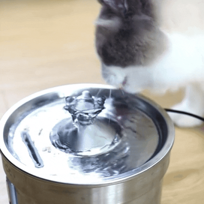 Roestvrijstalen Drinkfontein Voor Katten 3.2L Stil Stromend Water Met Filter