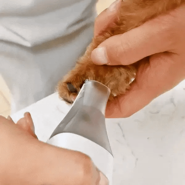 GroomMaster ™