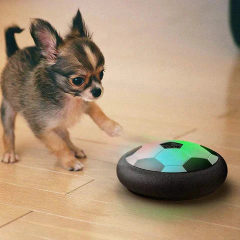 Interactief Voetbal Speelgoed voor Honden – KickFetch Pro