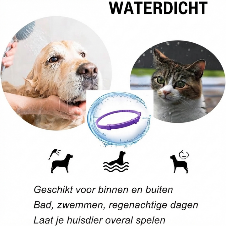 Pheromone Kalmerende Halsband voor Honden en Katten
