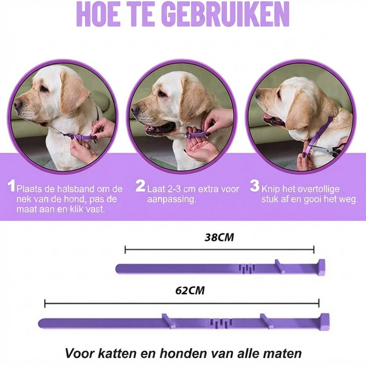 Pheromone Kalmerende Halsband voor Honden en Katten