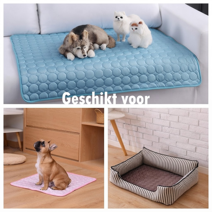 De Ultieme Koelmat voor Huisdieren