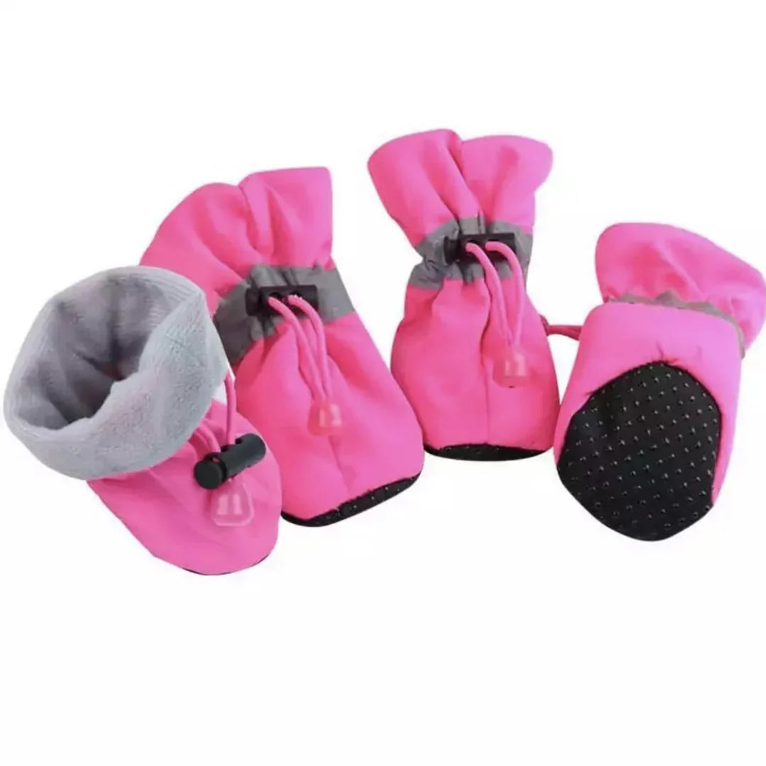 Winter Pootbescherming – Pootwandelingen