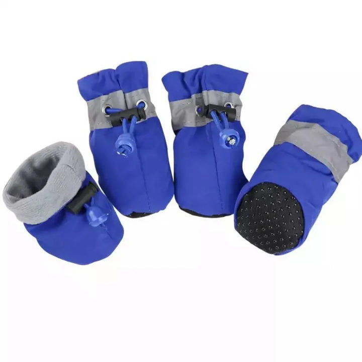Winter Pootbescherming – Pootwandelingen