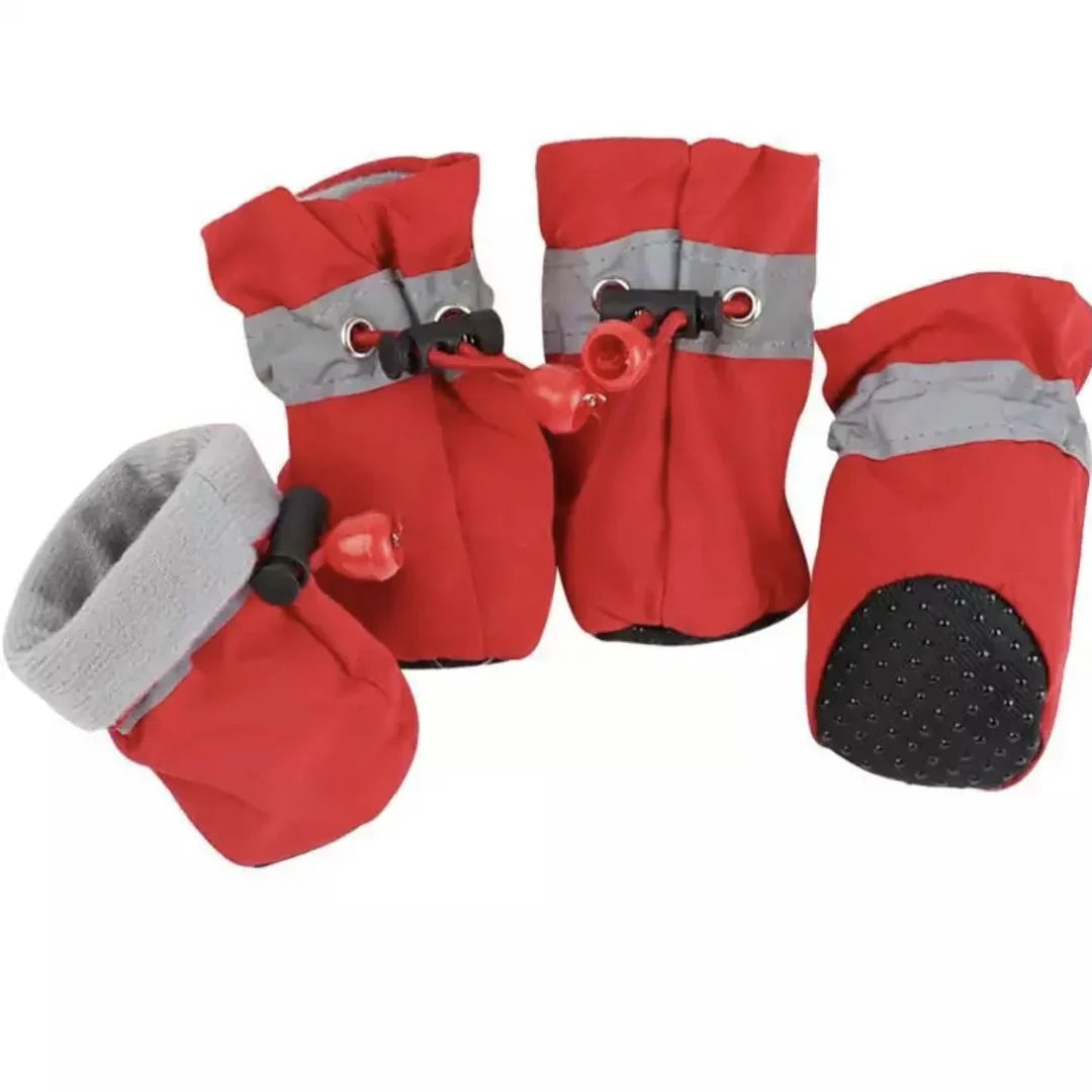 Winter Pootbescherming – Pootwandelingen