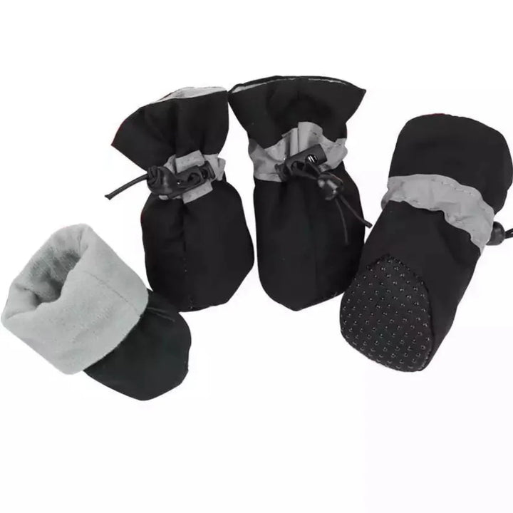 Winter Pootbescherming – Pootwandelingen