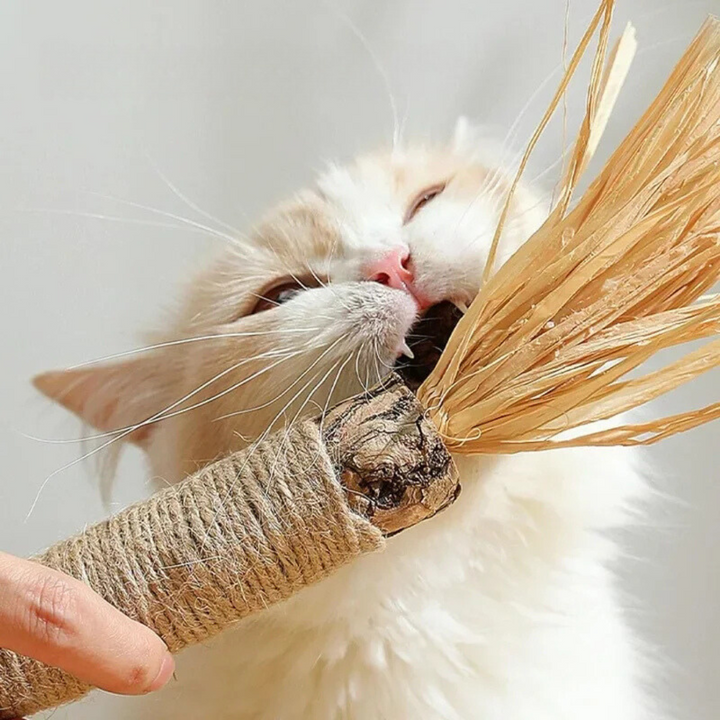 Tandenreinigingssticks voor Katten