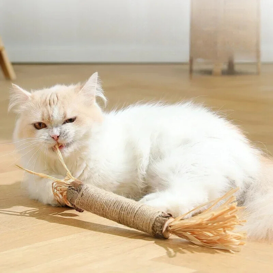 Tandenreinigingssticks voor Katten