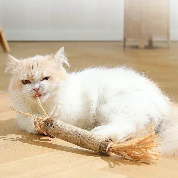 Tandenreinigingssticks voor Katten