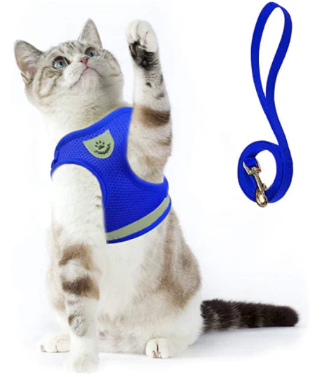 Explorer Harnas met Leash