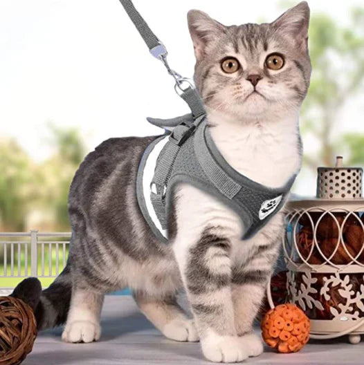 Explorer Harnas met Leash