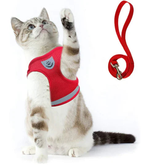 Explorer Harnas met Leash