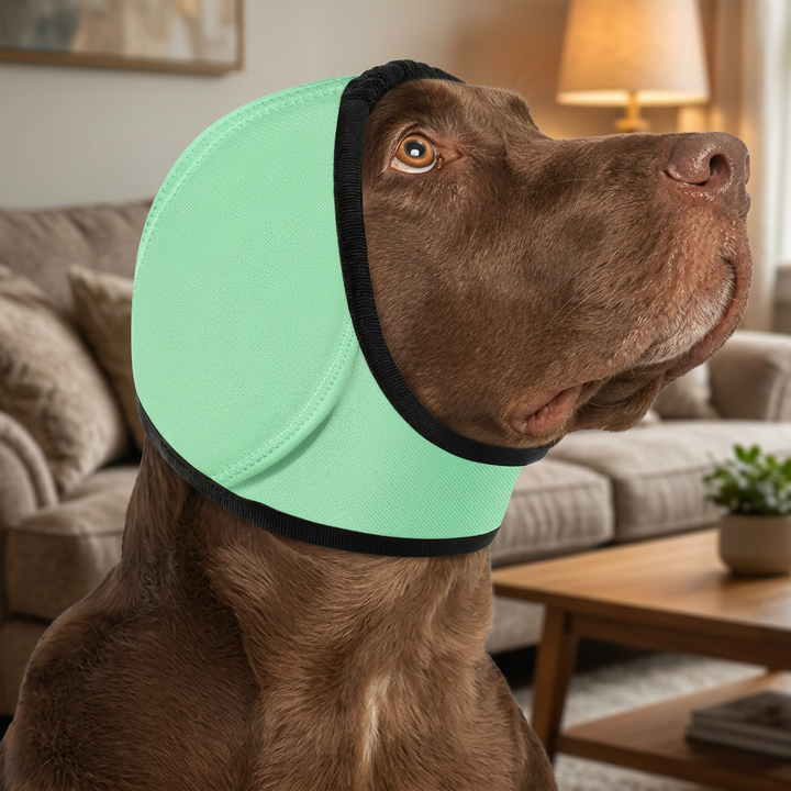 Oordoppen voor Honden - Geluiddempende en Angstverlichtende Oorkappen