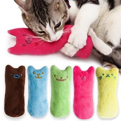 Speelgoed voor Tandverzorging met Catnip