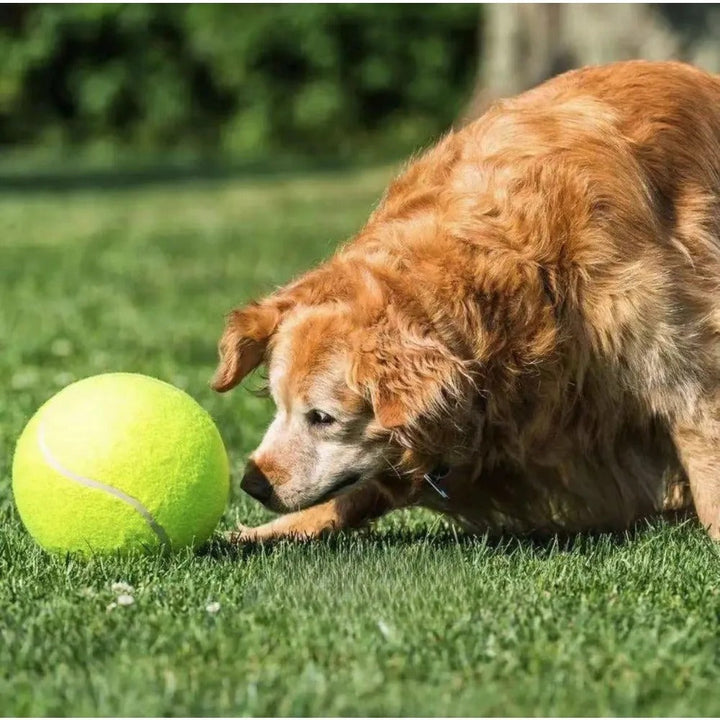 Duurzame Reuzen Tennisbal Hondenspeelgoed