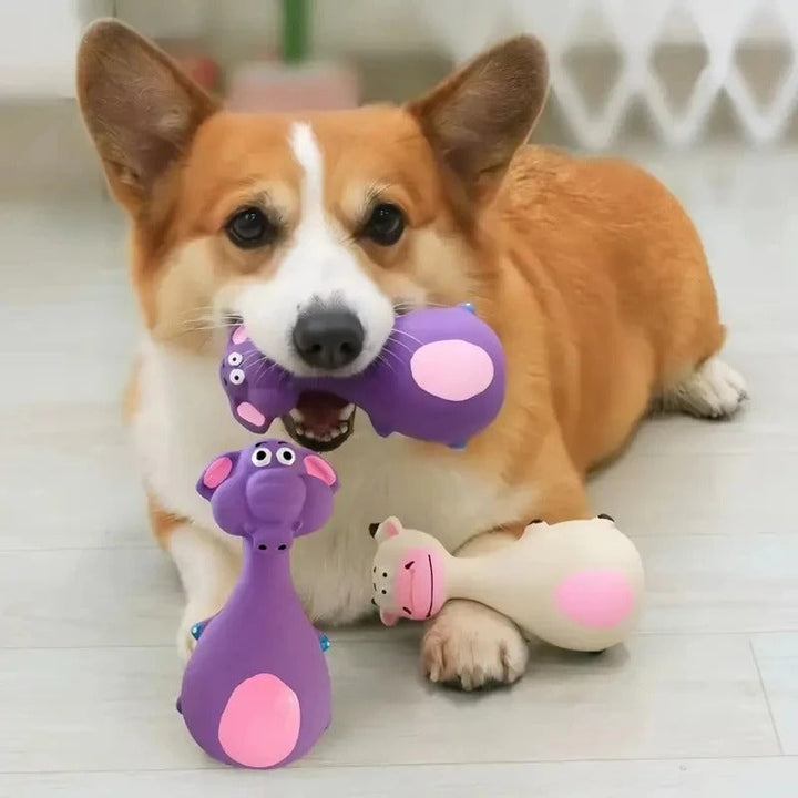Interactief Squeaky Gooi Speelgoed