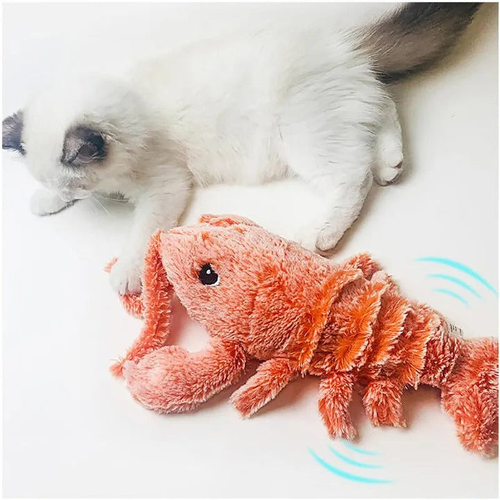 Wiggly Lobster - Interactief Speelgoed voor Katten