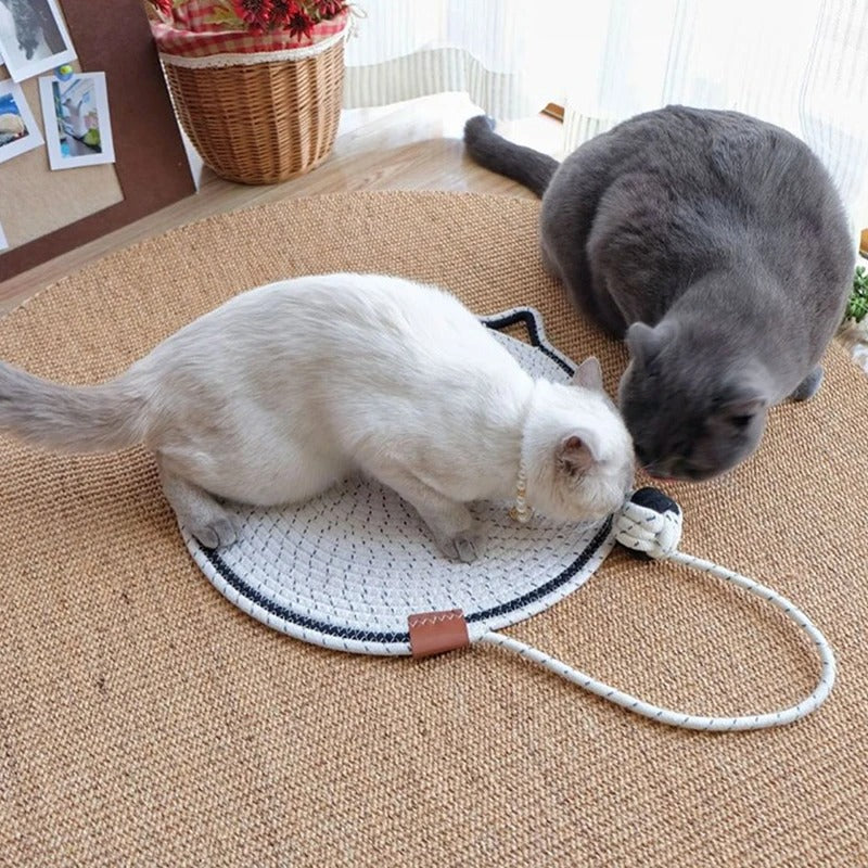 Premium Krabmat voor Katten