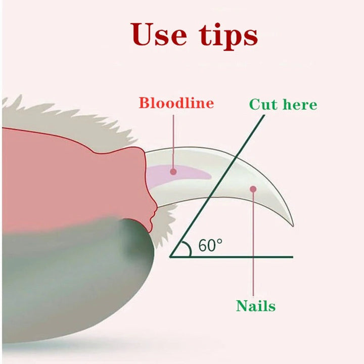 Professionele Nagelknipper voor Huisdieren met LED Licht