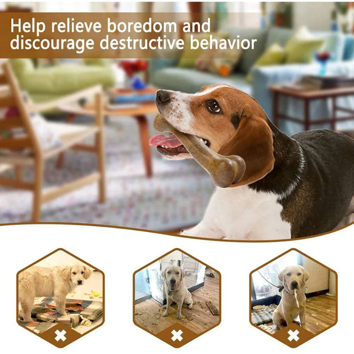ChewBone – Het Veilige en Duurzame Kauwspeeltje voor Blije Honden!