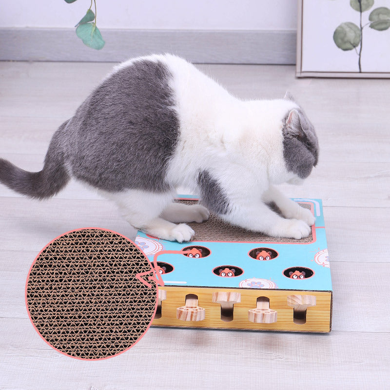 Peek-a-Boo Multifunctioneel Kat Speelgoed