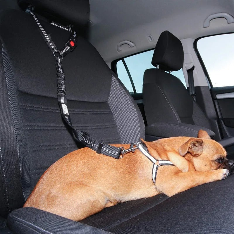Hond Veiligheidsriem voor in de Auto