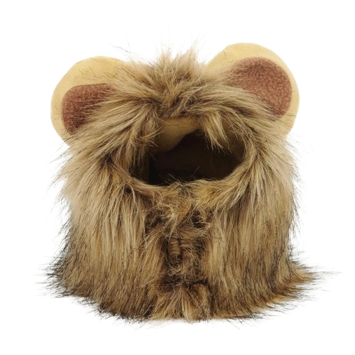 LionPaws ™