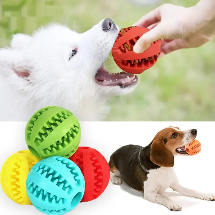 Kauwspeeltje voor Honden met Tandenreiniger