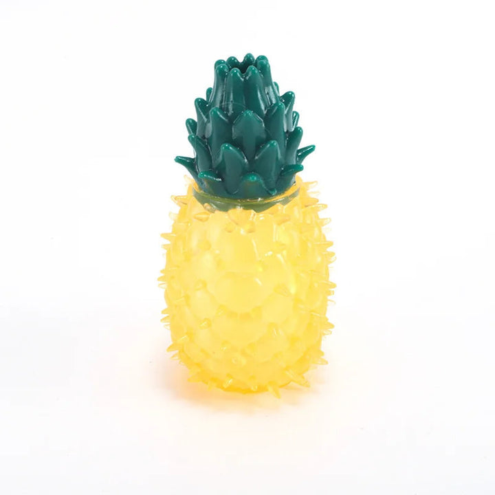 Koel Fruit Hondenspeeltje