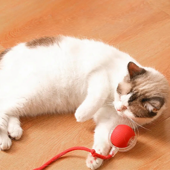 Actieve Rollende Bal met Staart voor Katten