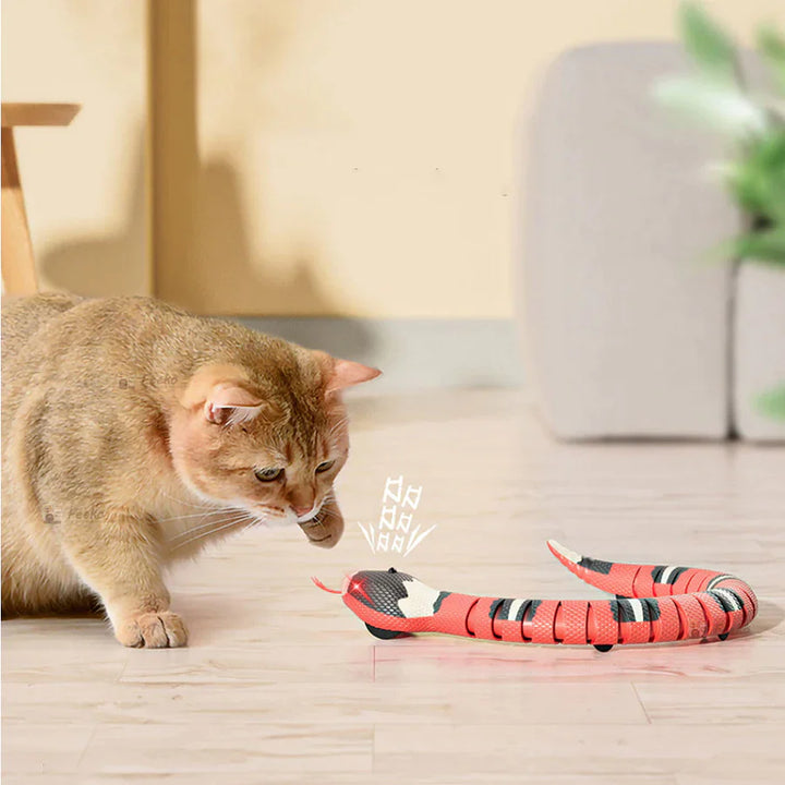 Snakey - Interactief Speelgoed voor Katten