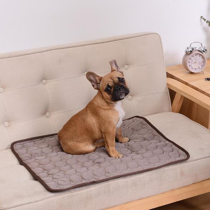 De Ultieme Koelmat voor Honden & Katten