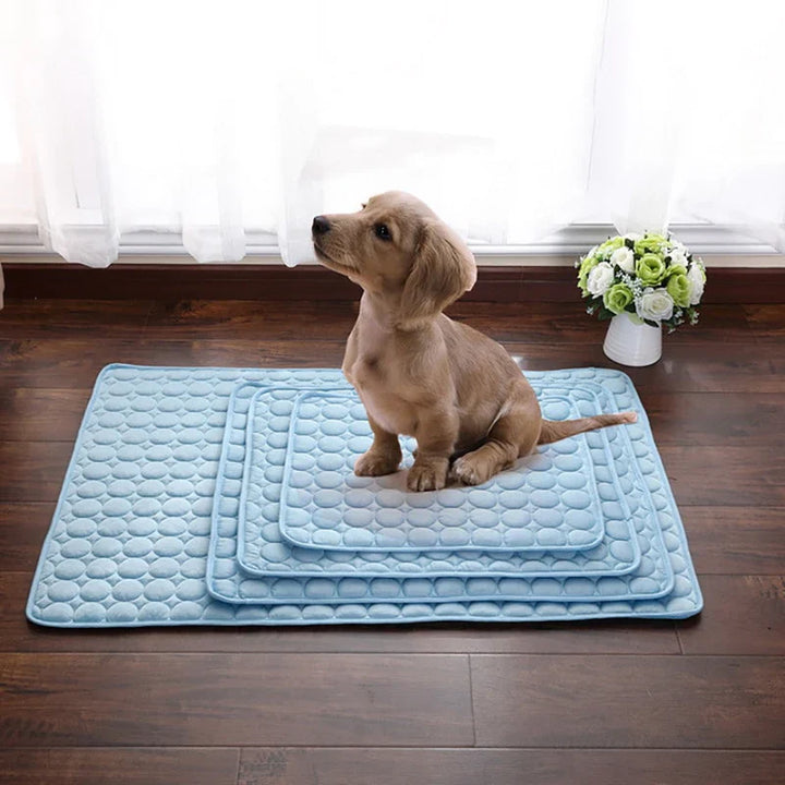 De Ultieme Koelmat voor Honden & Katten