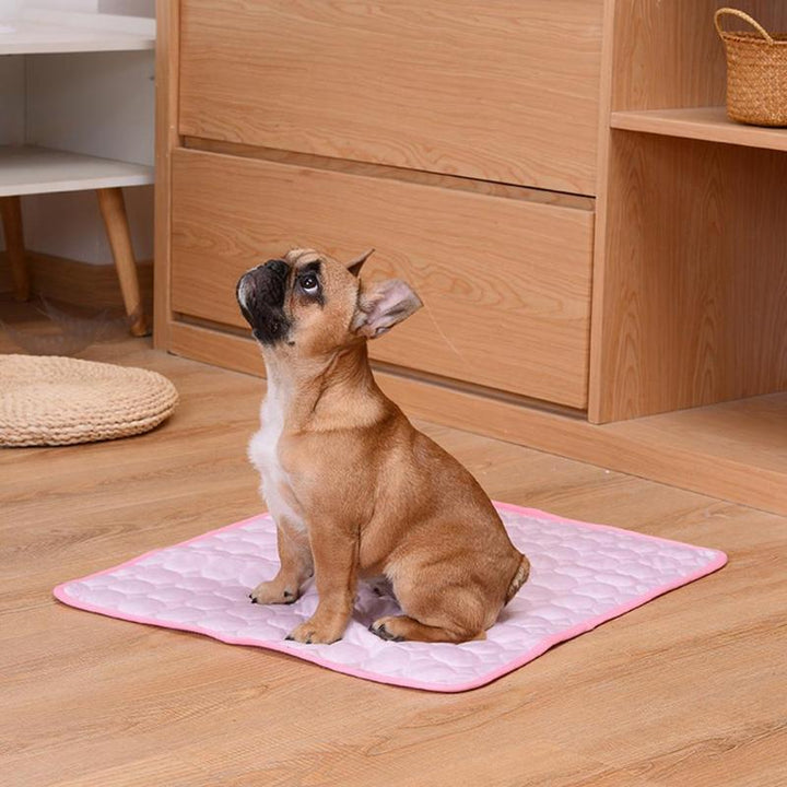 De Ultieme Koelmat voor Honden & Katten