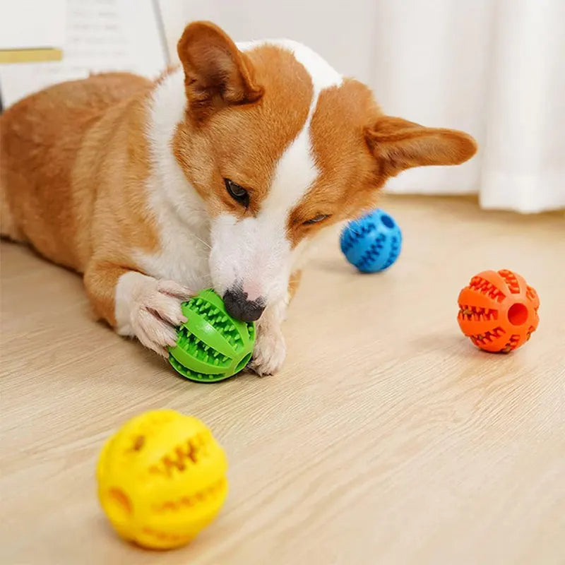 Kauwspeeltje voor Honden met Tandenreiniger