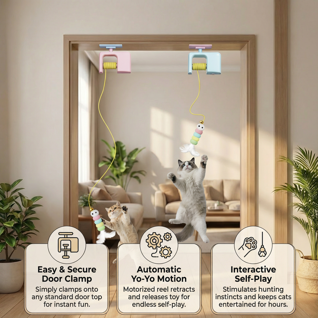 Interactief deur yo-yo kattenspeelgoed met zelfspeelfunctie